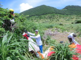 img0085.jpg