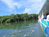 img0120.jpg