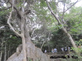img0123.jpg
