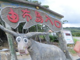 img0128.jpg
