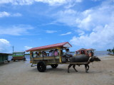 img0130.jpg