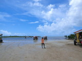 img0131.jpg