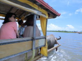 img0136.jpg