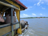 img0137.jpg