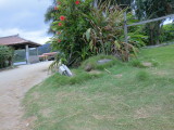 img0139.jpg