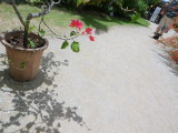 img0140.jpg