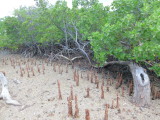 img0148.jpg
