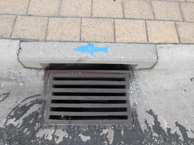 img0005.jpg