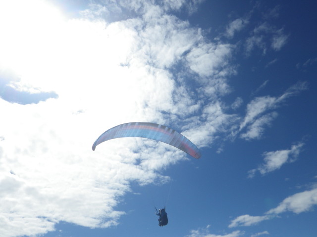img0099.jpg
