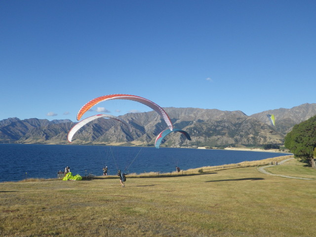 img0137.jpg