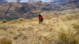 img0102.jpg