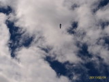 img0125.jpg