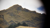 img0130.jpg