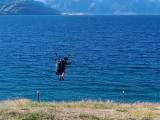 img0192.jpg