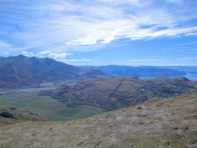 img0010.jpg
