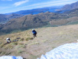 img0039.jpg