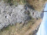 img0048.jpg
