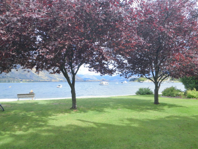 img0026.jpg