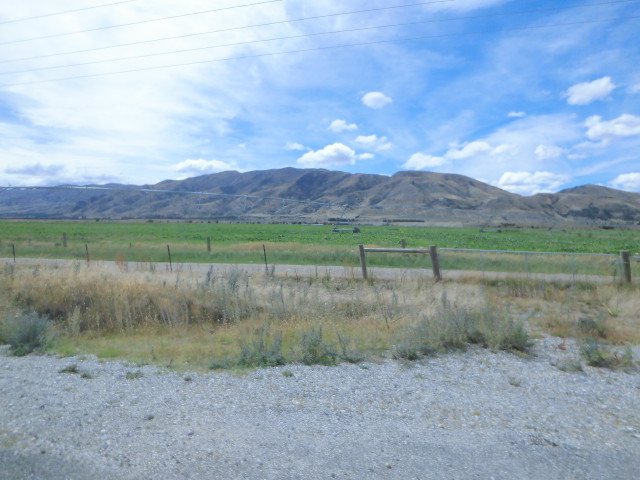 img0045.jpg