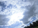 img0016.jpg