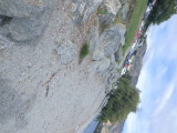 img0017.jpg