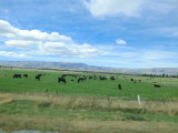 img0047.jpg