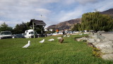 img0055.jpg