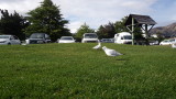 img0056.jpg