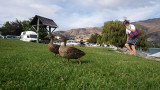 img0057.jpg