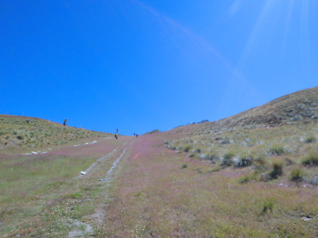 img0020.jpg