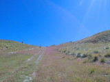 img0020.jpg