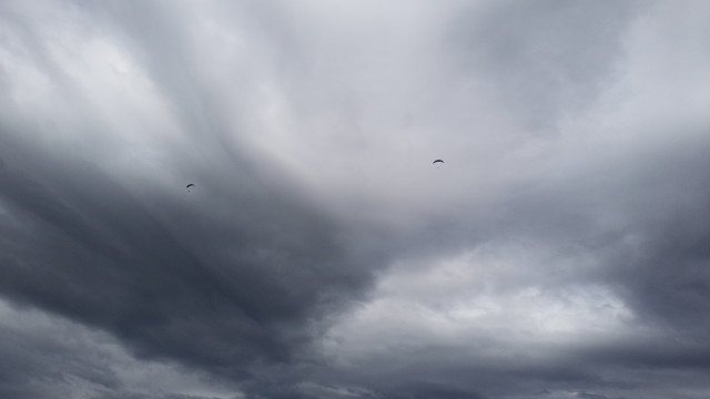 img0051.jpg