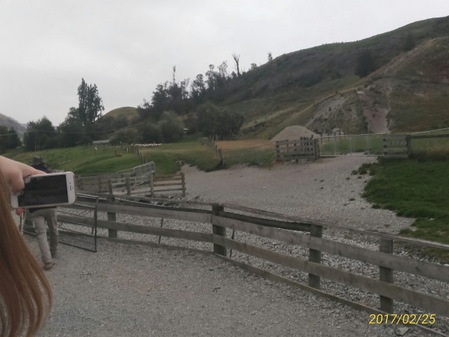 img0104.jpg