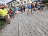 img0010.jpg
