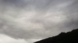 img0044.jpg