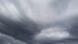 img0051.jpg