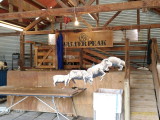 img0103.jpg