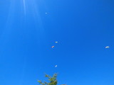 img0023.jpg
