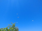 img0024.jpg