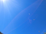 img0025.jpg