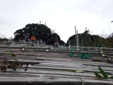 img0013.jpg