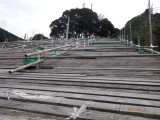 img0014.jpg
