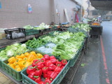 img0011.jpg