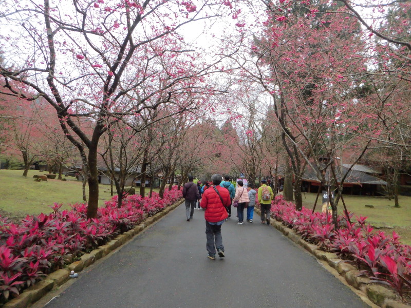 img0118.jpg
