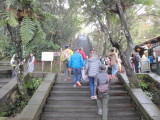 img0036.jpg