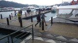 img0051.jpg