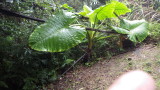 img0055.jpg