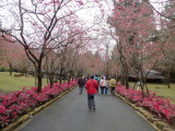 img0118.jpg