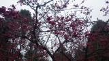 img0124.jpg