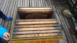 img0154.jpg